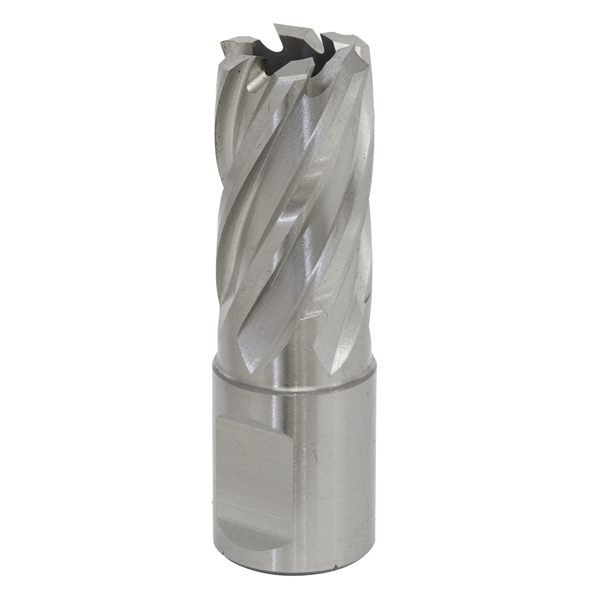 Sealey RBHSS17S Worksafe® 17mm HSS Mag Drill Bit Cut Depth 25mm