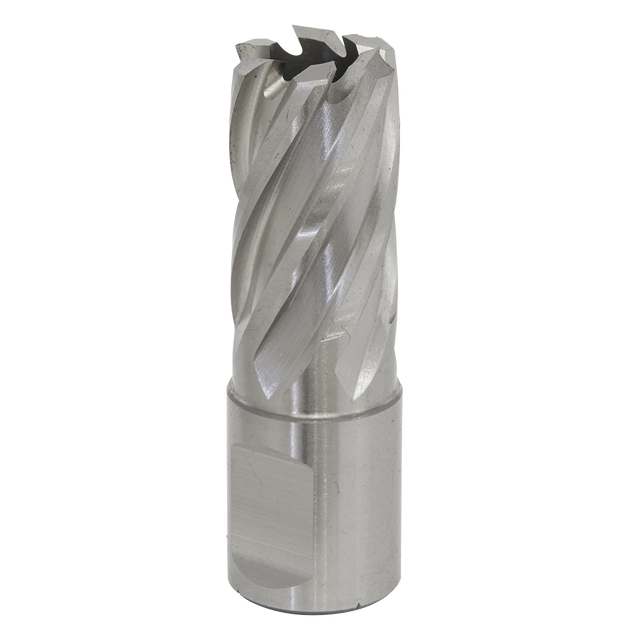 Sealey RBHSS17S Worksafe® 17mm HSS Mag Drill Bit Cut Depth 25mm