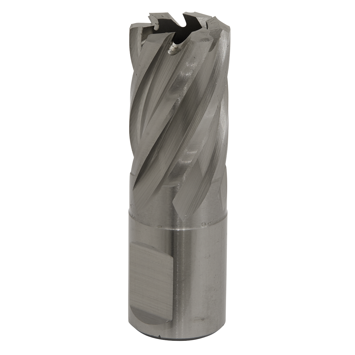 Sealey RBHSS19S Worksafe® 19mm HSS Mag Drill Bit Cut Depth 25mm