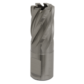 Sealey RBHSS19S Worksafe® 19mm HSS Mag Drill Bit Cut Depth 25mm
