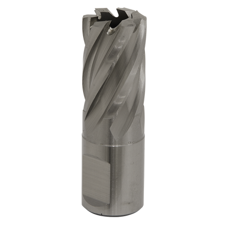 Sealey RBHSS19S Worksafe® 19mm HSS Mag Drill Bit Cut Depth 25mm