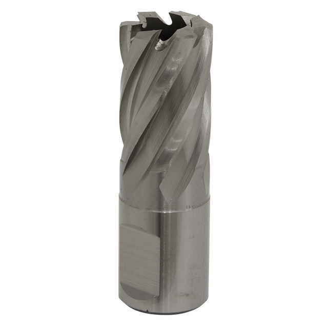 Sealey RBHSS19S Worksafe® 19mm HSS Mag Drill Bit Cut Depth 25mm