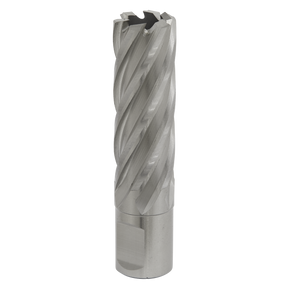Sealey RBHSS20L Worksafe® 20mm HSS Mag Drill Bit Cut Depth 50mm
