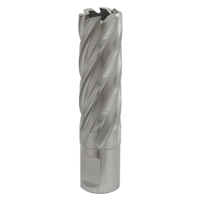 Sealey RBHSS20L Worksafe® 20mm HSS Mag Drill Bit Cut Depth 50mm