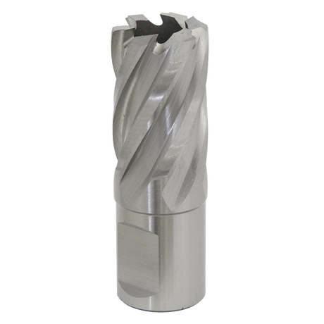 Sealey RBHSS21S Worksafe® 21mm HSS Mag Drill Bit Cut Depth 25mm