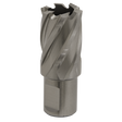 Sealey RBHSS22S Worksafe® 22mm HSS Mag Drill Bit Cut Depth 25mm