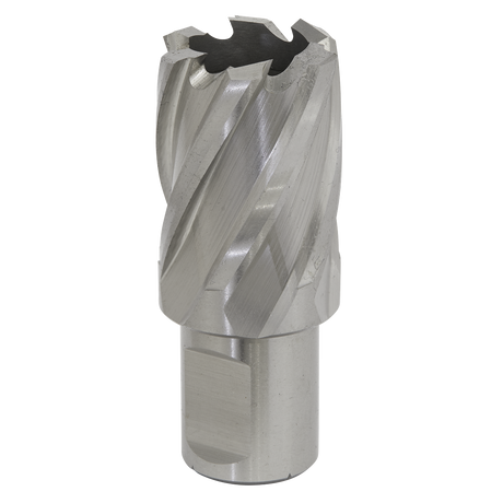 Sealey RBHSS25S Worksafe® 25mm HSS Mag Drill Bit Cut Depth 25mm