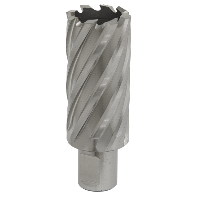 Sealey RBHSS29L Worksafe® 29mm HSS Mag Drill Bit Cut Depth 50mm