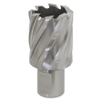 Sealey RBHSS29S Worksafe® 29mm HSS Mag Drill Bit Cut Depth 25mm