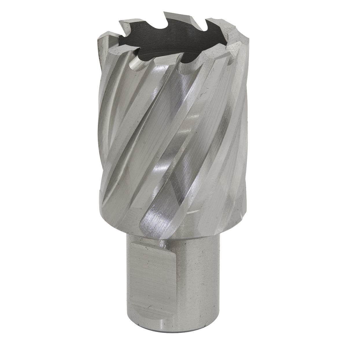 Sealey RBHSS29S Worksafe® 29mm HSS Mag Drill Bit Cut Depth 25mm
