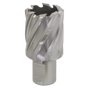 Sealey RBHSS29S Worksafe® 29mm HSS Mag Drill Bit Cut Depth 25mm