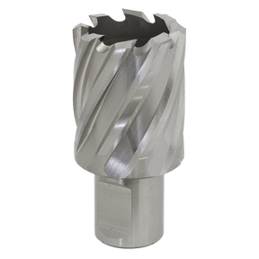 Sealey RBHSS30S Worksafe® 30mm HSS Mag Drill Bit Cut Depth 25mm