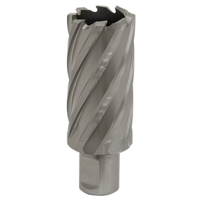 Sealey RBHSS31L Worksafe® 31mm HSS Mag Drill Bit Cut Depth 50mm