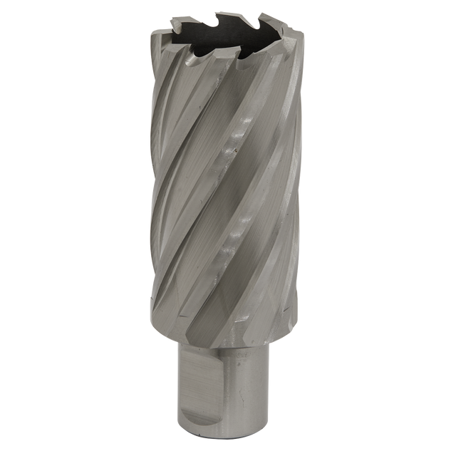 Sealey RBHSS31L Worksafe® 31mm HSS Mag Drill Bit Cut Depth 50mm