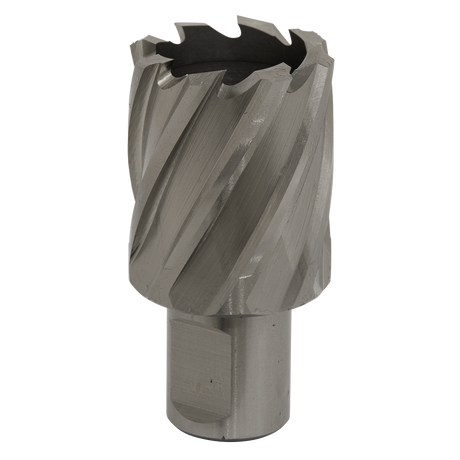 Sealey RBHSS32S Worksafe® 32mm HSS Mag Drill Bit Cut Depth 25mm