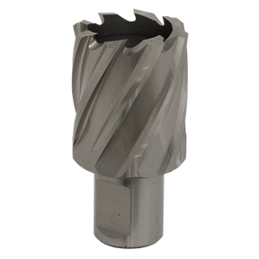 Sealey RBHSS33S Worksafe® 33mm HSS Mag Drill Bit Cut Depth 25mm