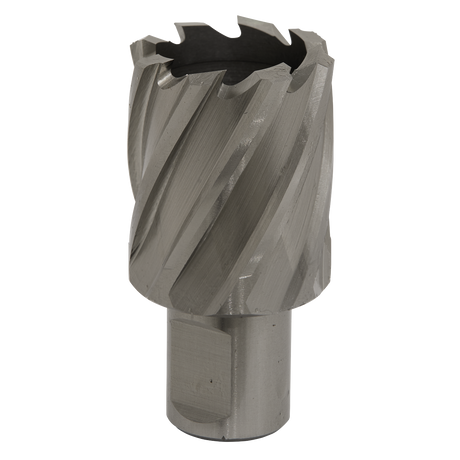 Sealey RBHSS33S Worksafe® 33mm HSS Mag Drill Bit Cut Depth 25mm