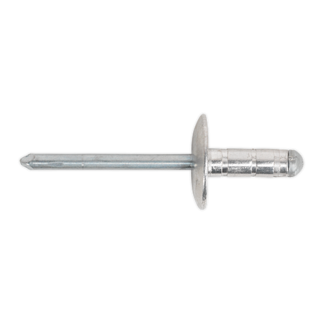 Sealey RM4819L Aluminium Multi-Grip Large Flange Rivet 4.8 x 19mm - Pack of 200