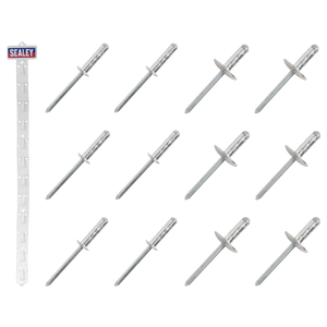 Sealey RVSET Clip Strip Deal - Aluminium Rivets