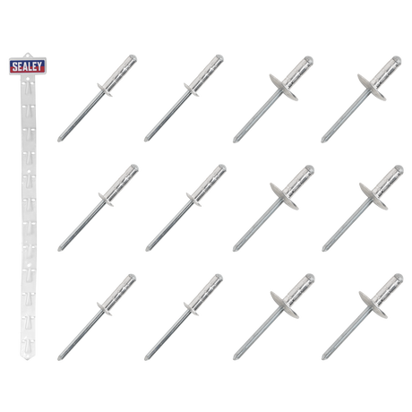 Sealey RVSET Clip Strip Deal - Aluminium Rivets