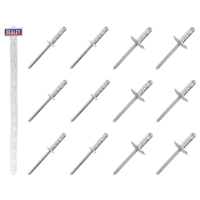 Sealey RVSET Clip Strip Deal - Aluminium Rivets