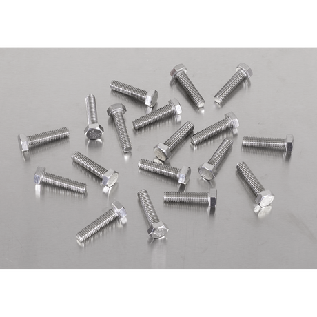 Sealey S625S Stainless Steel Set Screw M6 x 25mm 1mm Pitch, DIN 933 - Pack of 50 - additional view 2