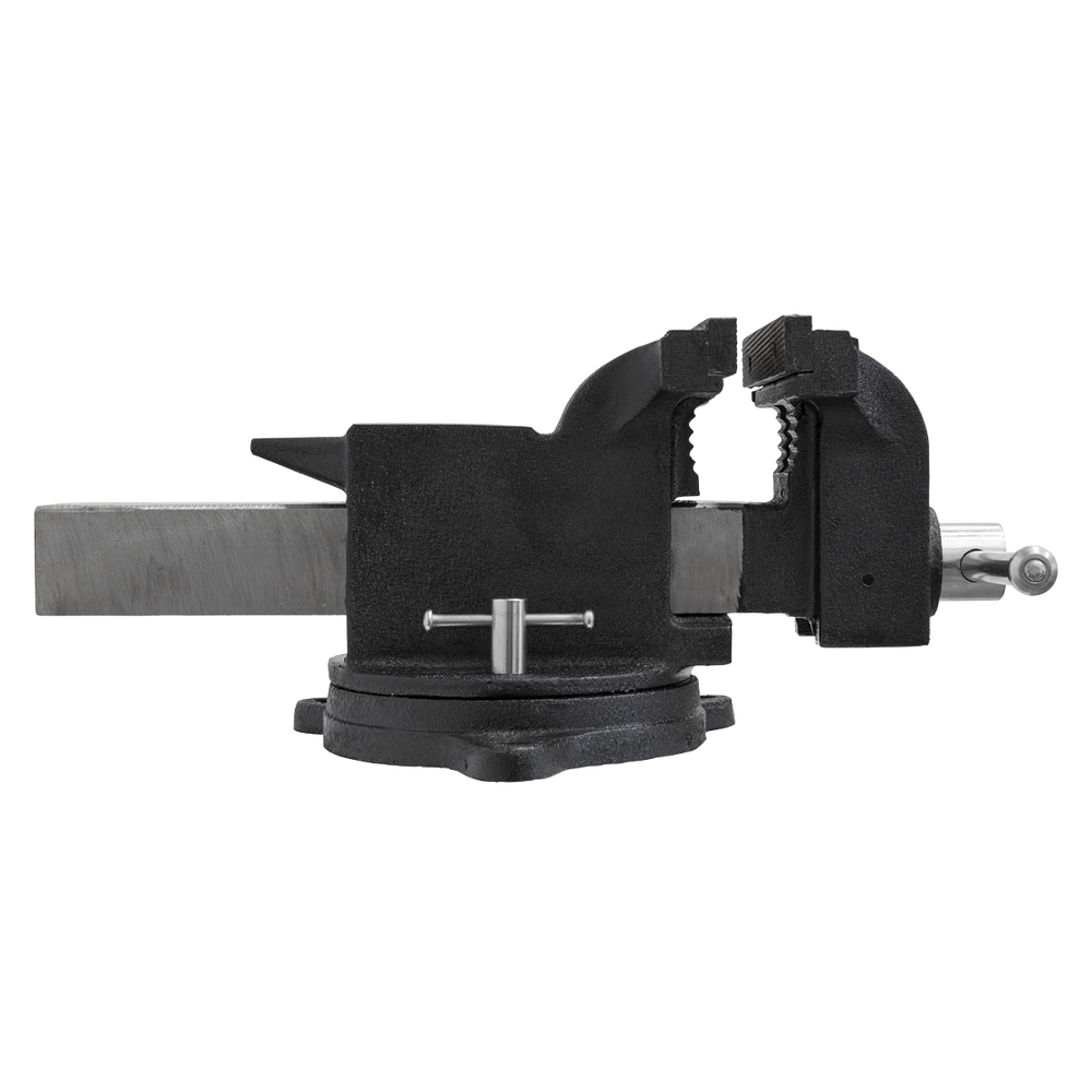 Sealey BGVDSCOMBO2 Vice Stand Deal - additional view 11