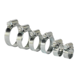 Sealey SHCS1 Zinc Plated Hose Clip Assortment 8-29mm 30pc