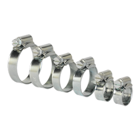 Sealey SHCS1 Zinc Plated Hose Clip Assortment 8-29mm 30pc