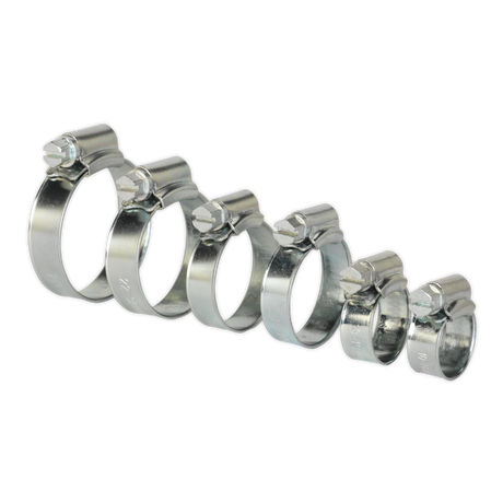 Sealey SHCS1 Zinc Plated Hose Clip Assortment 8-29mm 30pc