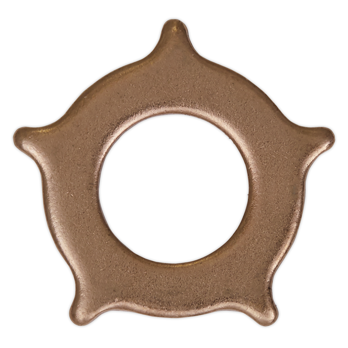 Sealey SR2000.SW Star Washer for SR2000 - Pack of 10