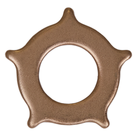 Sealey SR2000.SW Star Washer for SR2000 - Pack of 10