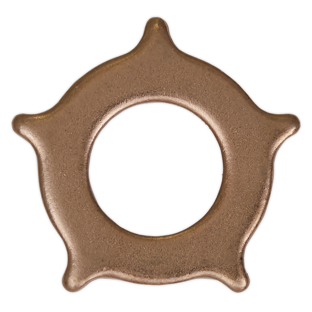 Sealey SR2000.SW Star Washer for SR2000 - Pack of 10