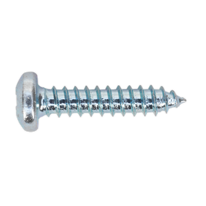 Sealey AB063STPH Zinc Plated Self-Tapping Pan Head Pozi Screw Assortment 700pc - DIN 7981CZ - additional view 5