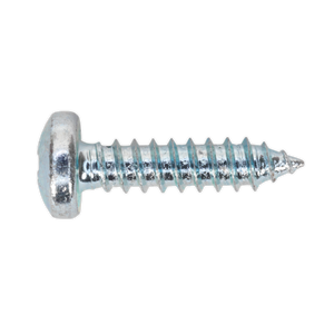 Sealey AB064STPP Zinc Plated Self-Tapping Pan Head Pozi Screw Assortment 305pc - DIN 7981CZ - additional view 5