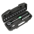 Sealey STW911B Torque Wrench Set 1/4"Sq Drive 5-25Nm 14pc