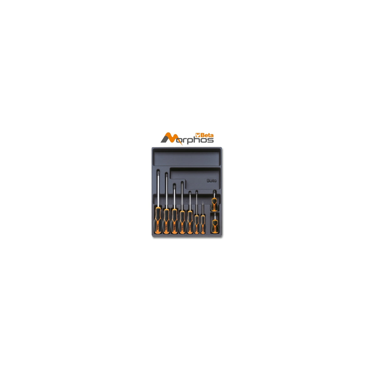 Beta Abs Thermoformed Tray With Morphos Phillips Screwdrivers - T168MH