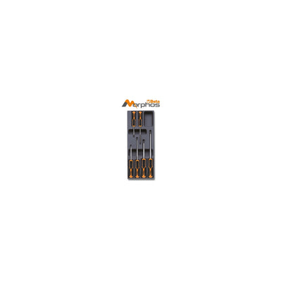 Beta ABS Thermoformed Tray With Morphos Phillips Screwdrivers - T202MH