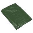 Sealey TARP2040G Tarpaulin 6.10 x 12.19m - Green