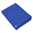 Sealey TARP6012 Lightweight PE Tarpaulin 6.10 x 12.19m - Blue
