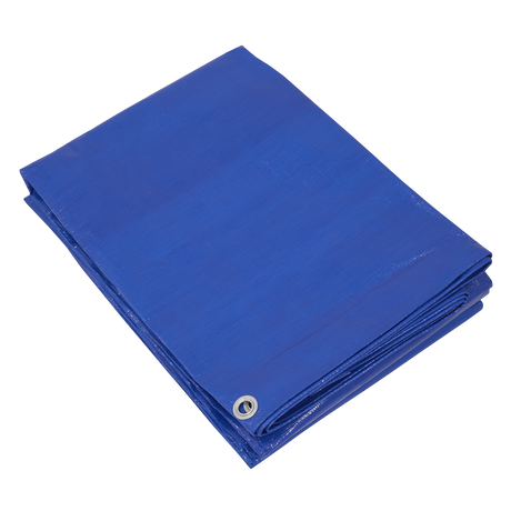 Sealey TARP6012 Lightweight PE Tarpaulin 6.10 x 12.19m - Blue