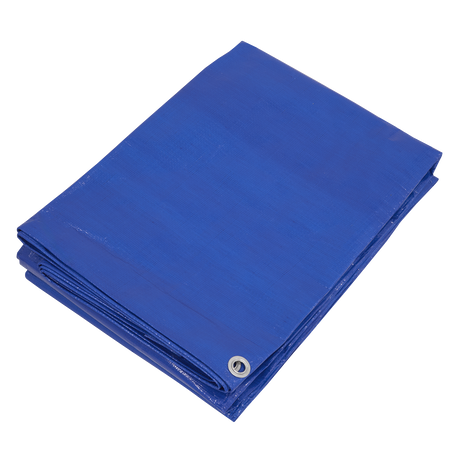 Sealey TARP6012 Lightweight PE Tarpaulin 6.10 x 12.19m - Blue - additional view 2