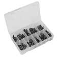 Sealey TCFT100AS Fir Tree Clip Assortment - Pack of 100