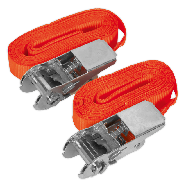 Sealey TD05045E Self-Securing Ratchet Straps 25mm x 4.5m 500kg Breaking Strength - Pair