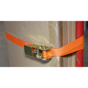 Sealey TD05045E Self-Securing Ratchet Straps 25mm x 4.5m 500kg Breaking Strength - Pair - additional view 2