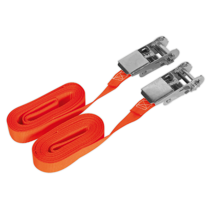 Sealey TD05045E Self-Securing Ratchet Straps 25mm x 4.5m 500kg Breaking Strength - Pair - additional view 3