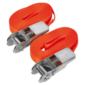 Sealey TD08045E Self-Securing Ratchet Straps 25mm x 4.5m 800kg Breaking Strength - Pair