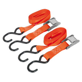 Sealey TD2525CS Cam Buckle Strap Polyester Webbing with S-Hooks 25mm x 2.5m 250kg Breaking Strength