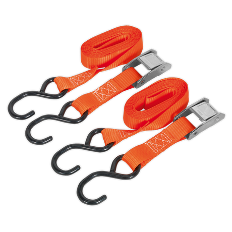 Sealey TD2525CS Cam Buckle Strap Polyester Webbing with S-Hooks 25mm x 2.5m 250kg Breaking Strength