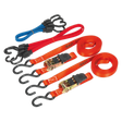 Sealey TD285SBD Ratchet Strap & Bungee Cord Set 6pc